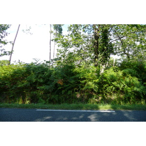 รูปถ่าย ฝรั่งเศส(France) ถนนริมทะเลสาบฌีรงด์(Gironde lakes road) 2007-08 8