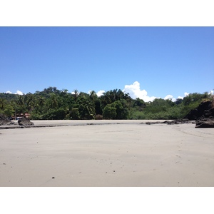 รูปถ่าย คอสตาริกา(Costa Rica) มานวยล์อันโตนีโอ(Manuel Antonio) 2015-03 77