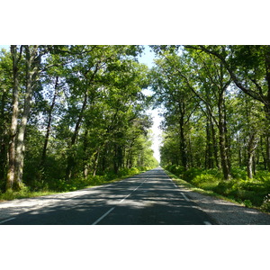 รูปถ่าย ฝรั่งเศส(France) ถนนริมทะเลสาบฌีรงด์(Gironde lakes road) 2007-08 3