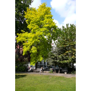 รูปถ่าย อังกฤษ(United Kingdom) ลอนดอน(London) จัตุรัสโซโห(Soho Square) 2007-09 52