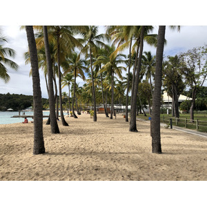 รูปถ่าย กวาเดอลูป(Guadeloupe) หาดลาการาแวล(La Caravelle Beach) 2021-02 51