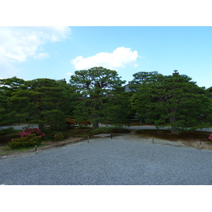 รูปถ่าย ญี่ปุ่น(Japan) เกียวโต(Kyoto) พระราชวังหลวงเกียวโต(Kyoto Imperial Palace) 2010-06 140