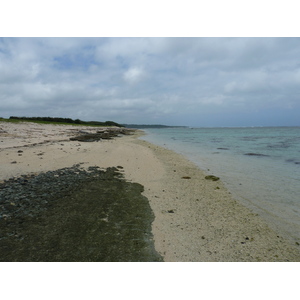 รูปถ่าย ฟิจิ(Fiji) ถนนจากนาดีไปนาตาโดลา(Nadi to Natadola road) 2010-05 98