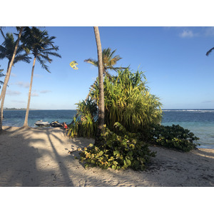 รูปถ่าย กวาเดอลูป(Guadeloupe) หาดลาการาแวล(La Caravelle Beach) 2021-02 131