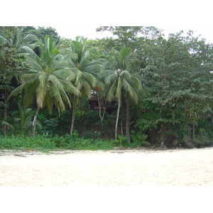 รูปถ่าย ไทย(Thailand) เขาหลัก(Khao Lak) หาดบางสัก(Bang Sak Beach) 2005-12 7