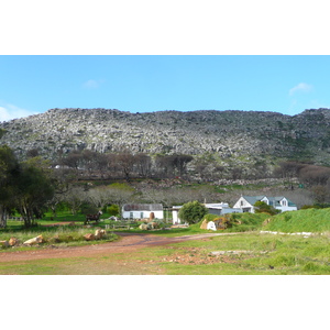 รูปถ่าย แอฟริกาใต้(South Africa) แหลมกู๊ดโฮป(Cape of Good Hope) 2008-09 26
