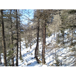 รูปถ่าย สวิสเซอร์แลนด์(Switzerland) จากปอนเตรซีนาไปลาโกเบียนโก(From Pontresina to Lago Bianco) 2007-01 8