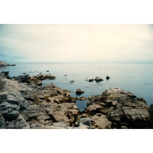 รูปถ่าย สหรัฐอเมริกา(United States) รัฐแคริฟอร์เนีย(California) 1992-08 11