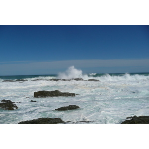 รูปถ่าย แอฟริกาใต้(South Africa) อุทยานแห่งชาติซิตซิคัมมา(Tsitsikamma National Park) 2008-09 381
