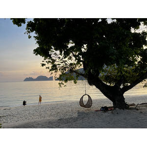 รูปถ่าย ไทย(Thailand) เกาะพีพีดอน(Ko Phi Phi Don) 2021-12 48