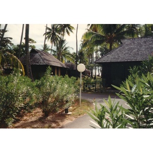รูปถ่าย เฟรนช์โพลี่นีเซีย(Polynesia) มูเรีย(Moorea) 1993-04 56