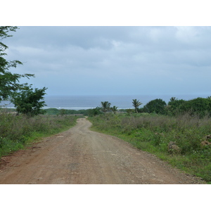 รูปถ่าย ฟิจิ(Fiji) ถนนจากนาดีไปนาตาโดลา(Nadi to Natadola road) 2010-05 99