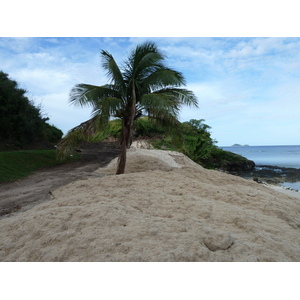 รูปถ่าย ฟิจิ(Fiji) รีสอร์ตเกาะอามูนูกา(Amunuca Island Resort) 2010-05 57