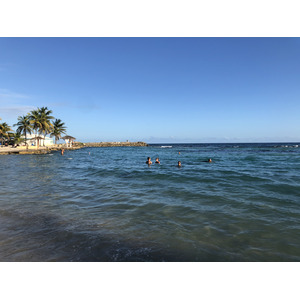 รูปถ่าย กวาเดอลูป(Guadeloupe) โรงแรมเลอมันกานาโอ(Le Manganao Hotel) 2021-02 49