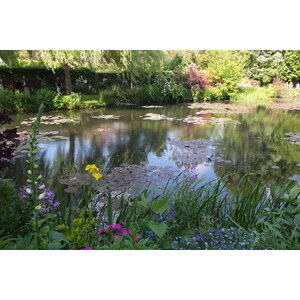รูปถ่าย ฝรั่งเศส(France) ฌีแวร์นี(Giverny) 2013-06 108