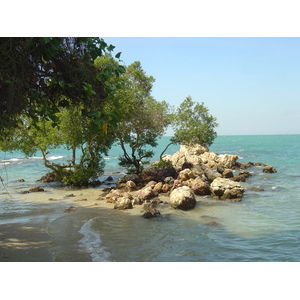 รูปถ่าย ไทย(Thailand) พัทยา(Pattaya) 2006-01 6