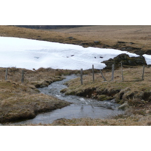 รูปถ่าย ฝรั่งเศส(France) โอบรัก(L'Aubrac) 2008-04 120