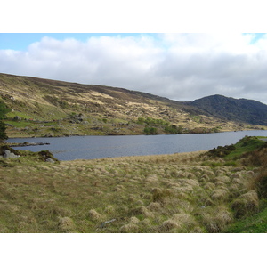 รูปถ่าย ไอร์แลนด์(Ireland) เคอร์รี่(Kerry) สวนสาธารณะคิลลาร์นีย์เนชั่นเนล(Killarney National Park) 2004-05 44