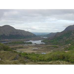 รูปถ่าย ไอร์แลนด์(Ireland) เคอร์รี่(Kerry) สวนสาธารณะคิลลาร์นีย์เนชั่นเนล(Killarney National Park) 2004-05 43