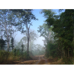 รูปถ่าย ไทย(Thailand) ปางมะผ้า(Pang Mapha) 2005-12 4