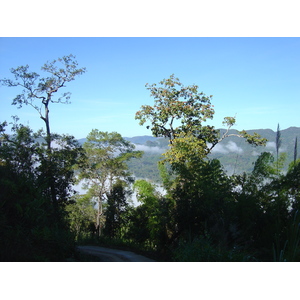 รูปถ่าย ไทย(Thailand) ปางมะผ้า(Pang Mapha) 2005-12 3
