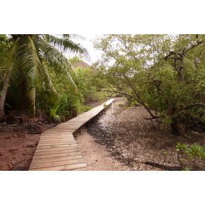 รูปถ่าย เซเชลส์(Seychelles) เกาะกูรีเยิซ(Curieuse) 2011-10 58