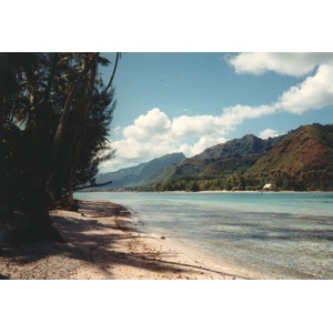 รูปถ่าย เฟรนช์โพลี่นีเซีย(Polynesia) มูเรีย(Moorea) 1993-04 34