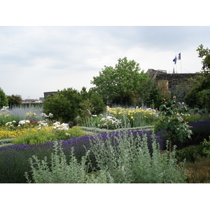 รูปถ่าย ฝรั่งเศส(France) อองเจ(Angers) 2006-06 101