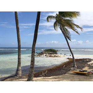 รูปถ่าย กวาเดอลูป(Guadeloupe) หาดลาการาแวล(La Caravelle Beach) 2021-02 104