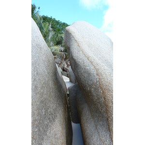 รูปถ่าย เซเชลส์(Seychelles) เกาะโกโก้(Coco Island) 2011-10 78