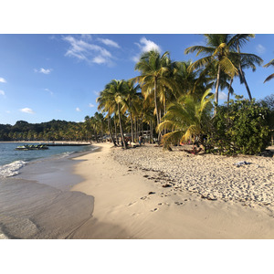 รูปถ่าย กวาเดอลูป(Guadeloupe) หาดลาการาแวล(La Caravelle Beach) 2021-02 14