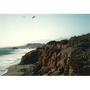 รูปถ่าย สหรัฐอเมริกา(United States) รัฐแคริฟอร์เนีย(California) 1992-08 3