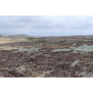 รูปถ่าย ฝรั่งเศส(France) โอบรัก(L'Aubrac) 2008-04 16