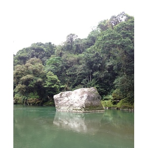 รูปถ่าย คอสตาริกา(Costa Rica) แม่น้ำปากัวเร(Pacuare River) 2015-03 214