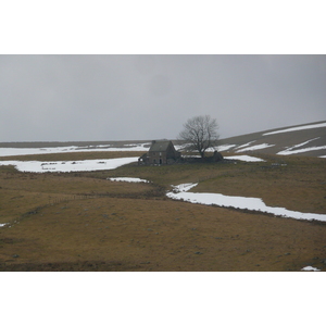 รูปถ่าย ฝรั่งเศส(France) โอบรัก(L'Aubrac) 2008-04 108