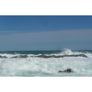 รูปถ่าย แอฟริกาใต้(South Africa) อุทยานแห่งชาติซิตซิคัมมา(Tsitsikamma National Park) 2008-09 242
