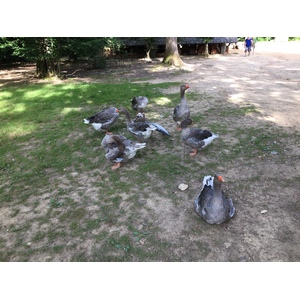 รูปถ่าย ฝรั่งเศส(France) ปราสาทเกอเดอลง(Guedelon) 2017-07 5