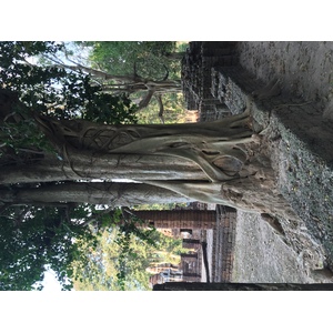 รูปถ่าย ไทย(Thailand) อุทยานประวัติศาสตร์ศรีสัชนาลัย(Si satchanalai historical park) 2014-12 127