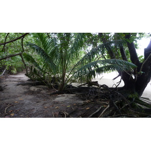 รูปถ่าย เซเชลส์(Seychelles) เกาะกูรีเยิซ(Curieuse) 2011-10 12