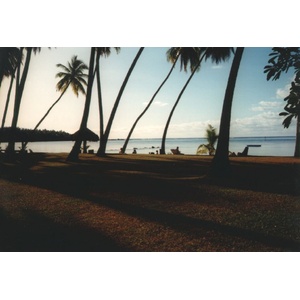 รูปถ่าย เฟรนช์โพลี่นีเซีย(Polynesia) มูเรีย(Moorea) 1993-04 40