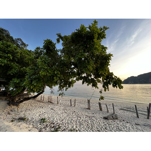 รูปถ่าย ไทย(Thailand) เกาะพีพีดอน(Ko Phi Phi Don) 2021-12 193