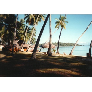 รูปถ่าย เฟรนช์โพลี่นีเซีย(Polynesia) มูเรีย(Moorea) 1993-04 45