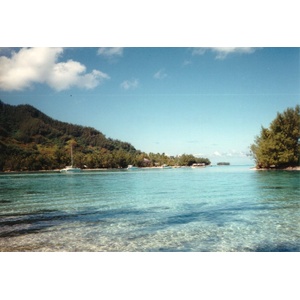 รูปถ่าย เฟรนช์โพลี่นีเซีย(Polynesia) มูเรีย(Moorea) 1993-04 18