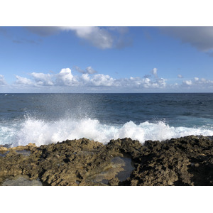รูปถ่าย กวาเดอลูป(Guadeloupe) แหลมคาสเซิลพอยต์(Castle Point) 2021-02 256