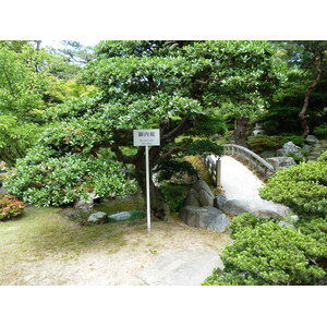 รูปถ่าย ญี่ปุ่น(Japan) เกียวโต(Kyoto) พระราชวังหลวงเกียวโต(Kyoto Imperial Palace) 2010-06 88