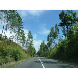 รูปถ่าย ฟิจิ(Fiji) ถนนจากนาดีไปนาตาโดลา(Nadi to Natadola road) 2010-05 5