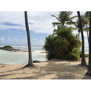 รูปถ่าย กวาเดอลูป(Guadeloupe) หาดลาการาแวล(La Caravelle Beach) 2021-02 117