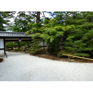 รูปถ่าย ญี่ปุ่น(Japan) เกียวโต(Kyoto) พระราชวังหลวงเกียวโต(Kyoto Imperial Palace) 2010-06 32