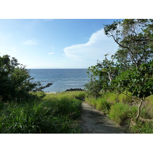 รูปถ่าย ฟิจิ(Fiji) รีสอร์ตเกาะอามูนูกา(Amunuca Island Resort) 2010-05 106