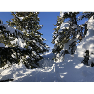 รูปถ่าย ฝรั่งเศส(France) ปรา-ซูร์-อาร์ลี(Praz sur Arly) 2019-12 189